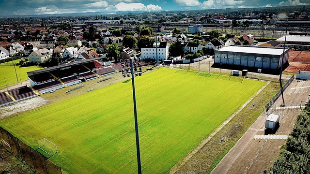 截至目前 截至目前