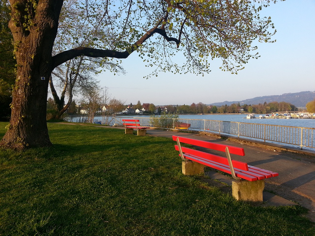 再次成为焦 再次成为焦