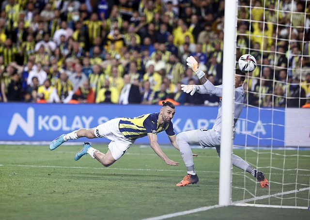 二人备受瞩 二人备受瞩