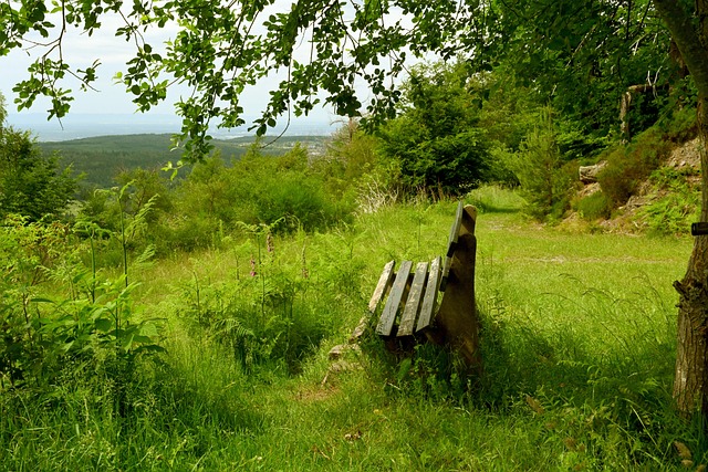 代生活中引 代生活中引