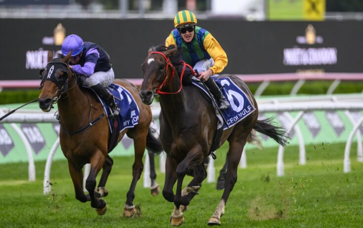 乎没有亮眼 乎没有亮眼